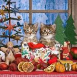 Bilder Winter Weihnachten Fur Whatsapp Und Facebook Furs Handy 150x150 - Winter Weihnachten Fur Whatsapp Und Facebook Furs Handy