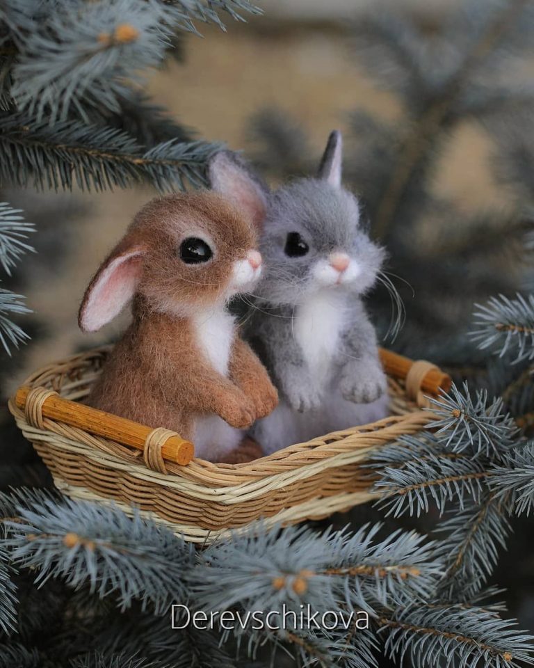 Foto Weihnachten Kostenlos Fur Whatsapp Und Facebook Furs Handy
