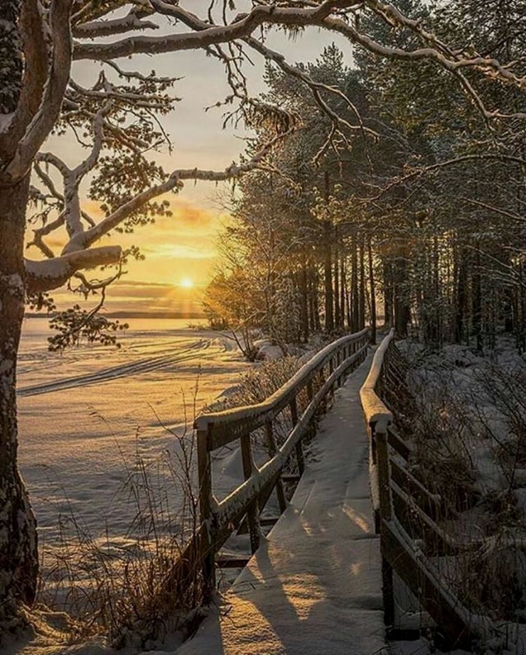 Frohe Weihnachten Glitzer Bilder Fur Whatsapp Und Facebook Furs Handy