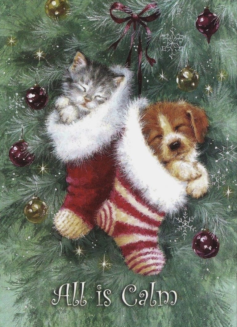 Kostenlose Adventsbilder Fur Whatsapp Und Facebook Furs Handy