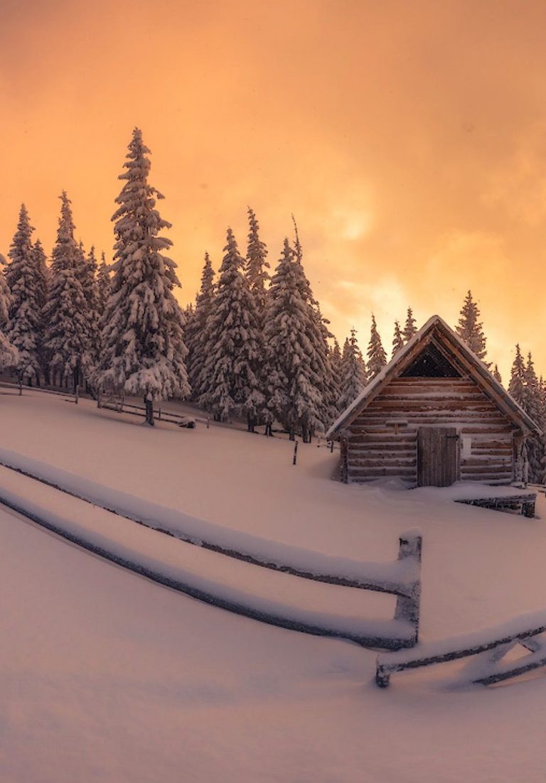 Lustige Bilder Zu Weihnachten Fur Whatsapp Und Facebook Furs Handy