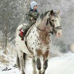 Lustige Spruche Bilder Weihnachten Fur Whatsapp Und Facebook Furs Handy 150x150 - Frühlingsanfang lustige sprüche