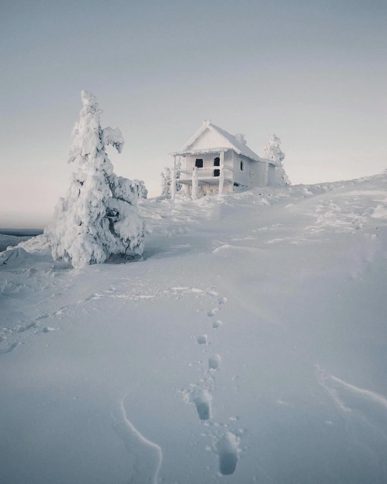 Lustige Weihnachtsbilder Kostenlos Fur Whatsapp Und Facebook Furs Handy