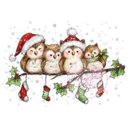 Schone Weihnachtsspruche Mit Bildern Fur Whatsapp Und Facebook Furs Handy - Weihnachten Fotografie
