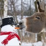 Weihnachten Schone Bilder Fur Whatsapp Und Facebook Furs Handy 150x150 - Wurfel Bilder Fur Whatsapp Und Facebook Furs Handy