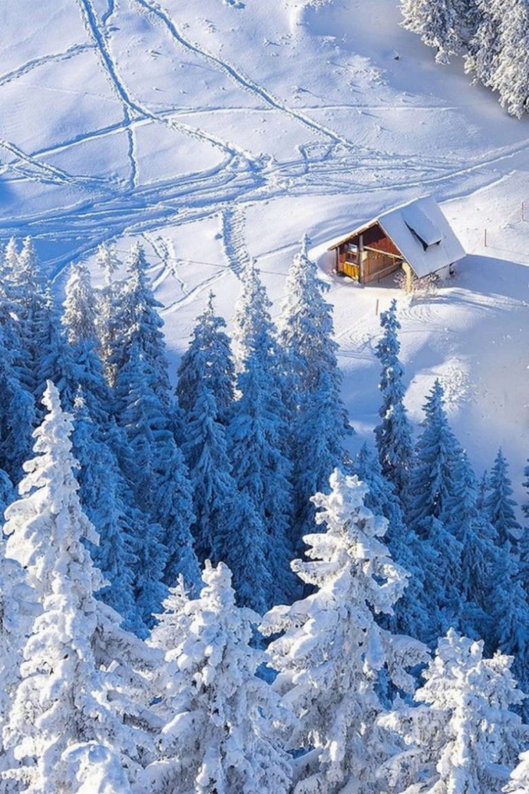 Weihnachtsgruse Bilder Lustig Fur Whatsapp Und Facebook Furs Handy