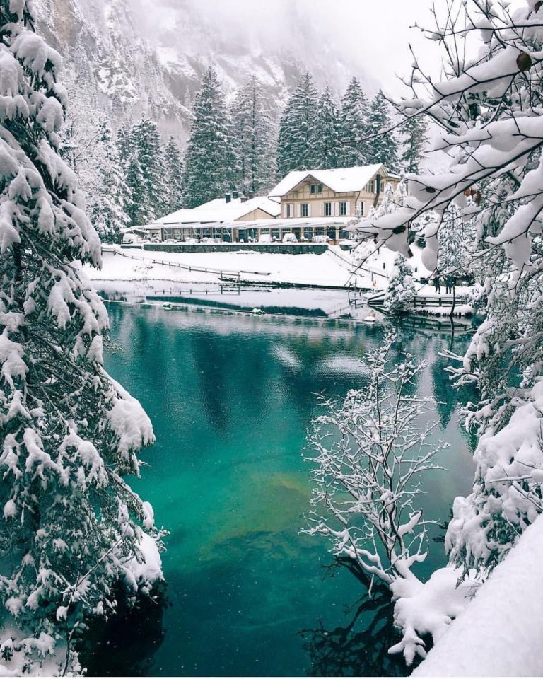 Weihnachtsgruse Fur Whatsapp Kostenlos Fur Whatsapp Und Facebook Furs Handy