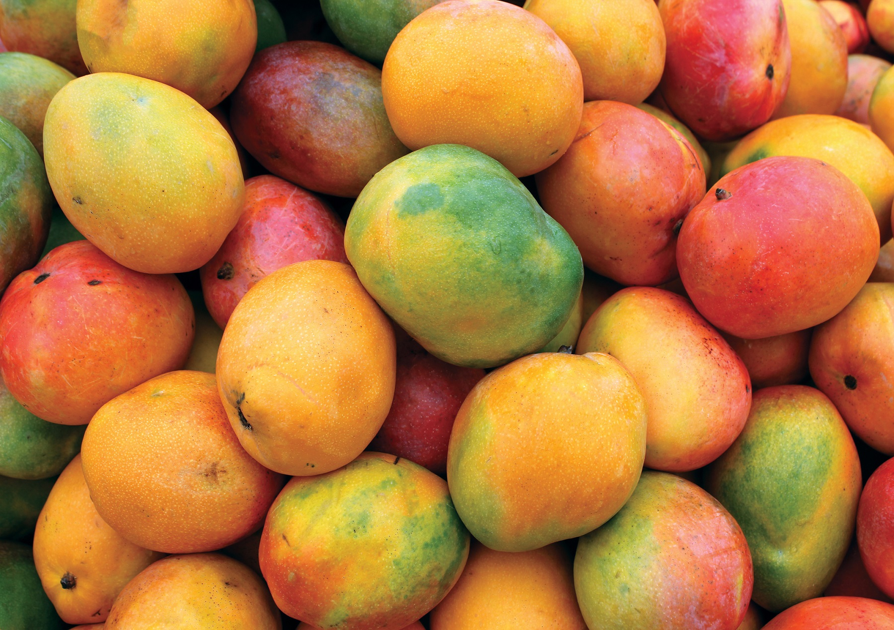 mango - Die gesundheitlichen Vorteile von Mango